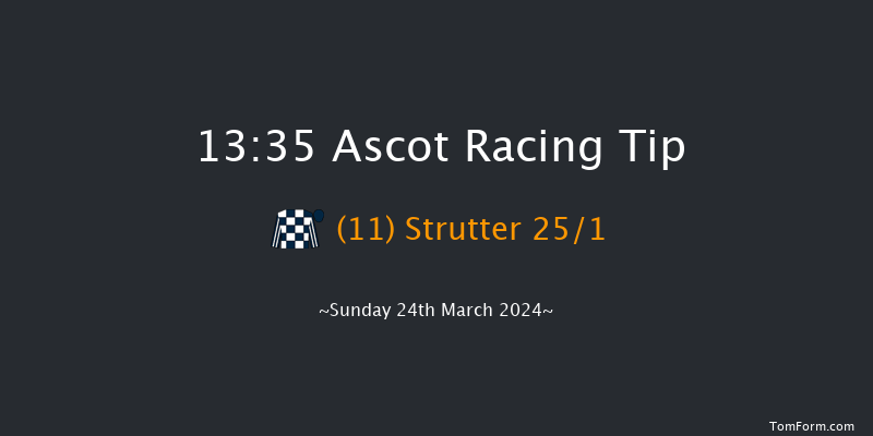 Ascot  13:35 /Maiden Hurdle (Class 3) 19f Sat 17th Feb 2024