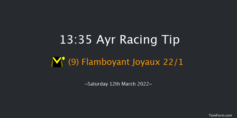 Ayr 13:35 Handicap Hurdle (Class 4) 20f Tue 15th Feb 2022