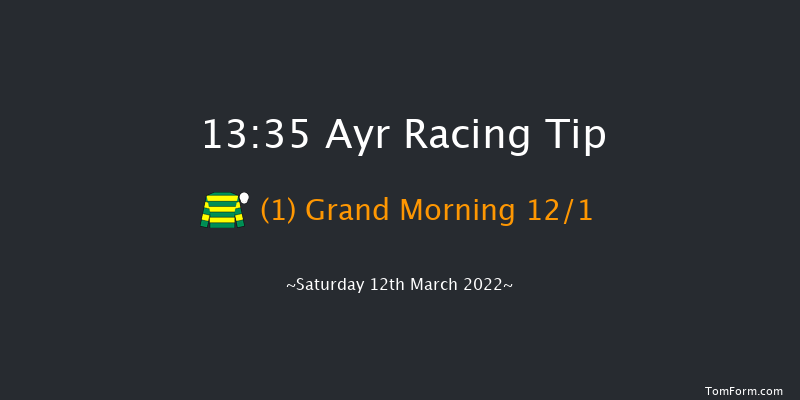 Ayr 13:35 Handicap Hurdle (Class 4) 20f Tue 15th Feb 2022