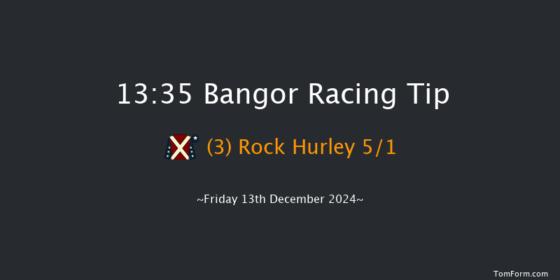 Bangor-on-dee  13:35 Handicap Hurdle (Class 5) 20f Wed 13th Nov 2024