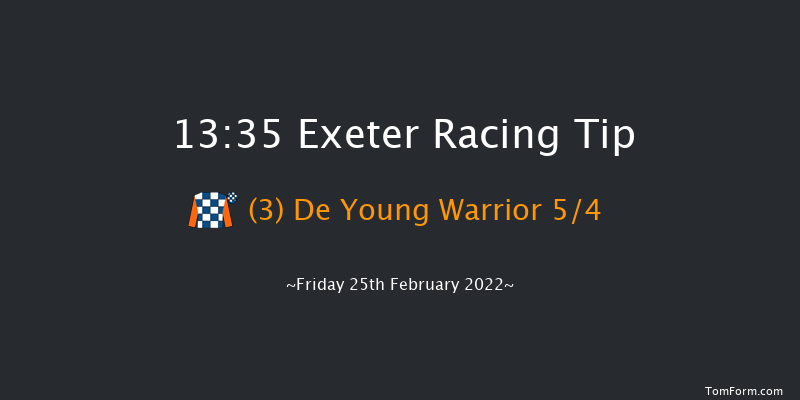 Exeter 13:35 Handicap Chase (Class 3) 24f Sun 13th Feb 2022