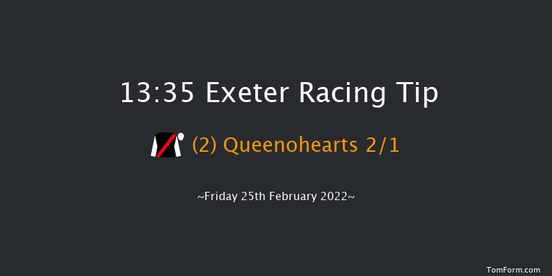 Exeter 13:35 Handicap Chase (Class 3) 24f Sun 13th Feb 2022