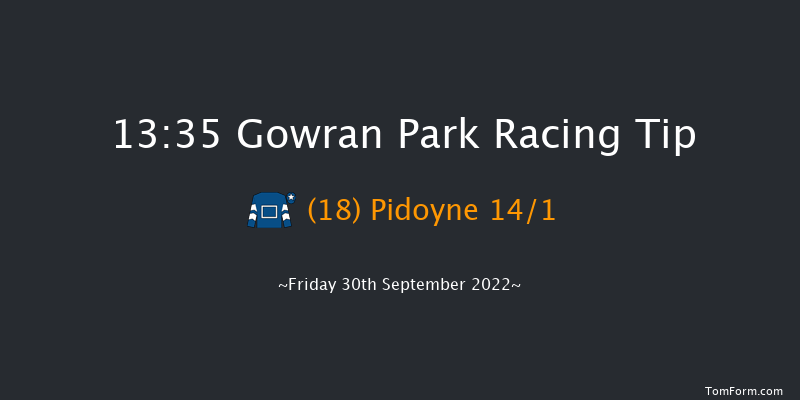 Gowran Park 13:35 Maiden Hurdle 16f Sat 17th Sep 2022