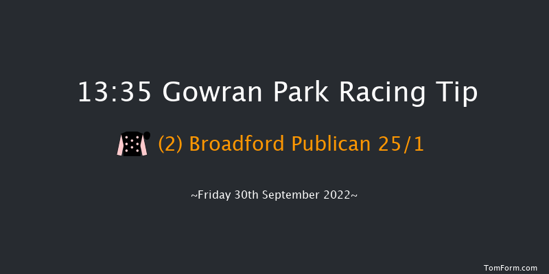 Gowran Park 13:35 Maiden Hurdle 16f Sat 17th Sep 2022