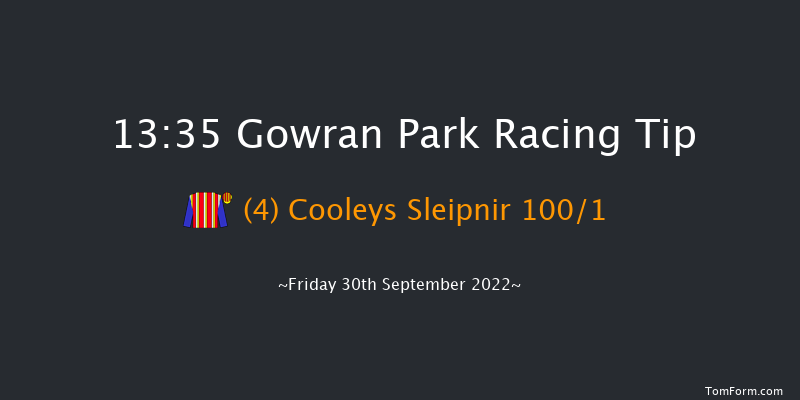 Gowran Park 13:35 Maiden Hurdle 16f Sat 17th Sep 2022