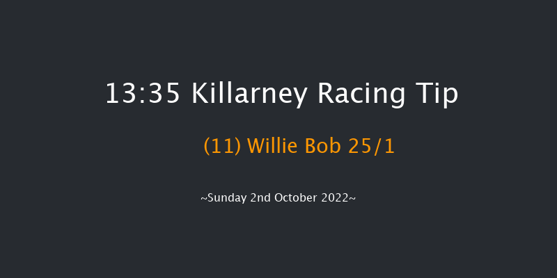 Killarney 13:35 Handicap Hurdle 17f Sat 1st Oct 2022