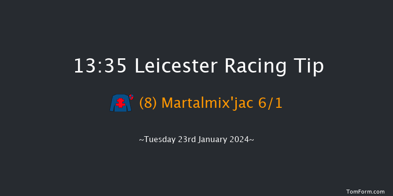 Leicester 13:35 Handicap
Chase (Class 5) 20f Wed 10th Jan 2024