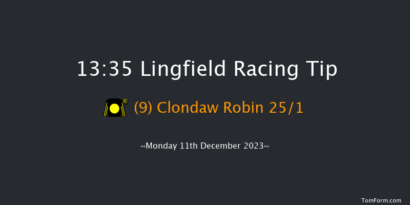 Lingfield 13:35 Handicap Chase (Class 5) 16f Wed 6th Dec 2023