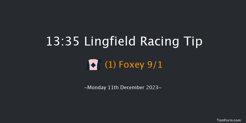 Lingfield 13:35 Handicap Chase (Class 5) 16f Wed 6th Dec 2023