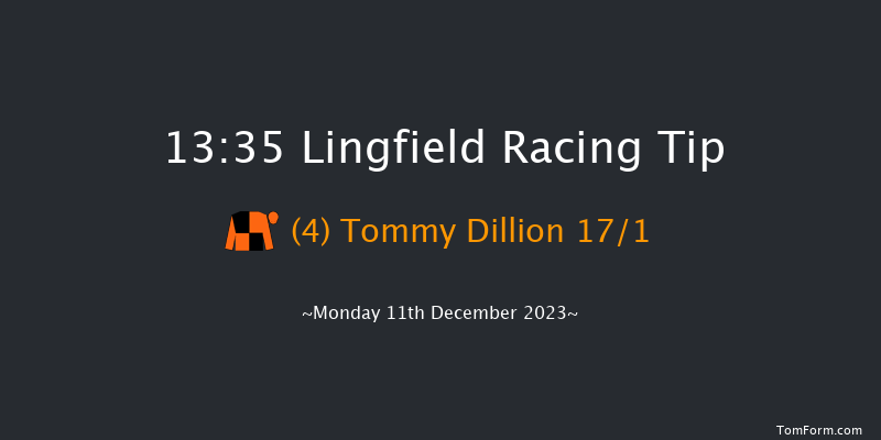 Lingfield 13:35 Handicap Chase (Class 5) 16f Wed 6th Dec 2023