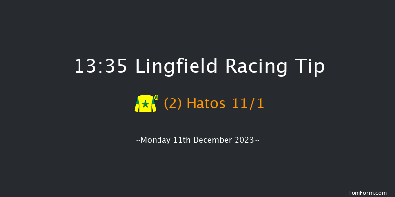 Lingfield 13:35 Handicap Chase (Class 5) 16f Wed 6th Dec 2023