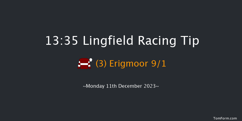 Lingfield 13:35 Handicap Chase (Class 5) 16f Wed 6th Dec 2023