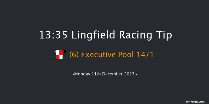 Lingfield 13:35 Handicap Chase (Class 5) 16f Wed 6th Dec 2023