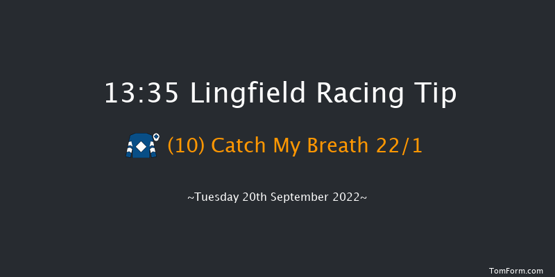 Lingfield 13:35 Handicap (Class 5) 8f Wed 31st Aug 2022