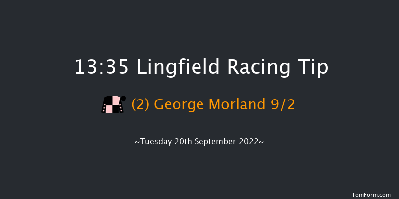 Lingfield 13:35 Handicap (Class 5) 8f Wed 31st Aug 2022