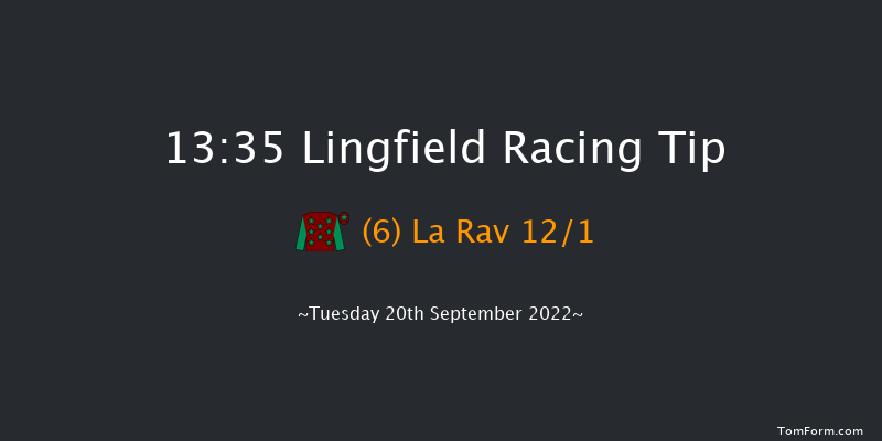 Lingfield 13:35 Handicap (Class 5) 8f Wed 31st Aug 2022