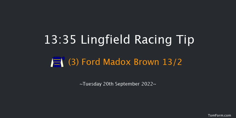 Lingfield 13:35 Handicap (Class 5) 8f Wed 31st Aug 2022