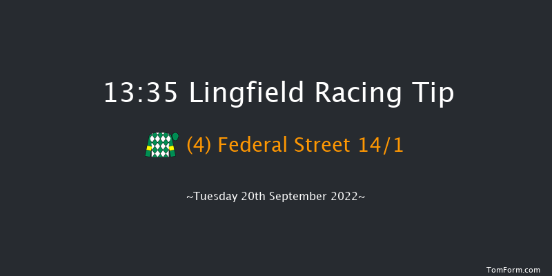 Lingfield 13:35 Handicap (Class 5) 8f Wed 31st Aug 2022