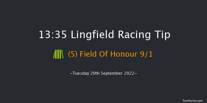 Lingfield 13:35 Handicap (Class 5) 8f Wed 31st Aug 2022