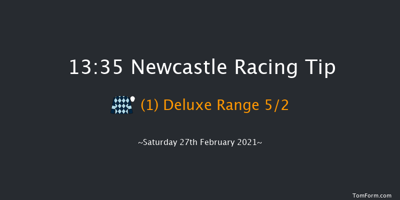 Break From The Herd With Vertem Novices' Hurdle (GBB Race) Newcastle 13:35 Maiden Hurdle (Class 3) 20f Tue 23rd Feb 2021