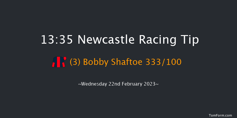 Newcastle 13:35 Handicap (Class 6) 12f Mon 20th Feb 2023