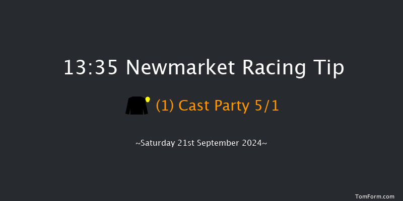 Newmarket  13:35 Stakes (Class 4) 8f Sat 24th Aug 2024