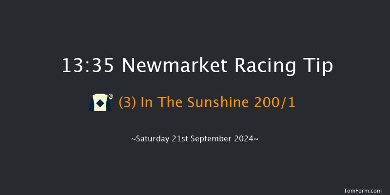 Newmarket  13:35 Stakes (Class 4) 8f Sat 24th Aug 2024