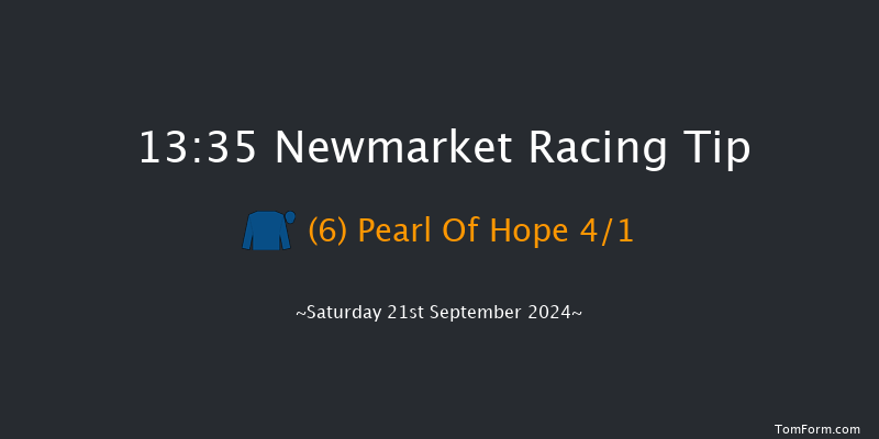 Newmarket  13:35 Stakes (Class 4) 8f Sat 24th Aug 2024