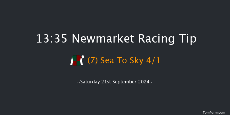 Newmarket  13:35 Stakes (Class 4) 8f Sat 24th Aug 2024