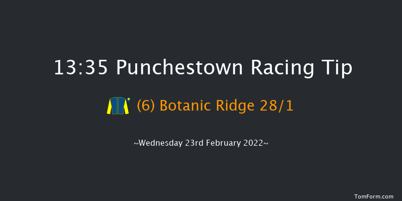 Punchestown 13:35 Maiden Hurdle 16f Sun 13th Feb 2022