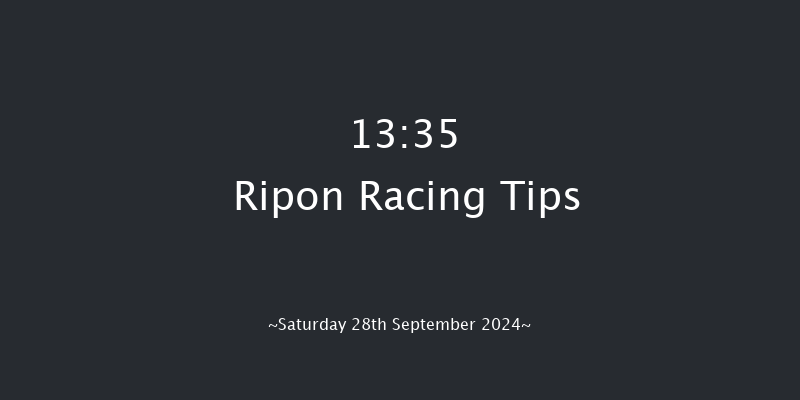 Ripon  13:35 Maiden (Class 5) 6f Tue 27th Aug 2024