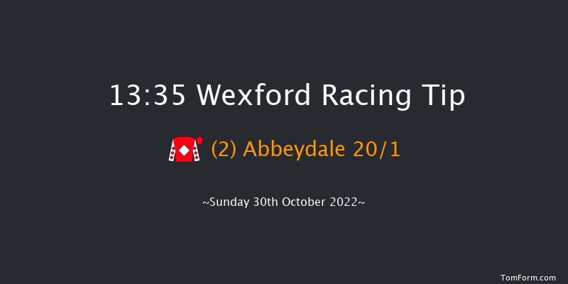 Wexford 13:35 Maiden Hurdle 21f Sat 3rd Sep 2022