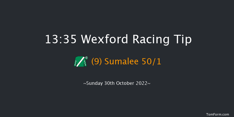 Wexford 13:35 Maiden Hurdle 21f Sat 3rd Sep 2022