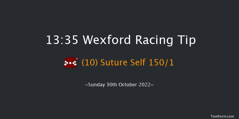 Wexford 13:35 Maiden Hurdle 21f Sat 3rd Sep 2022