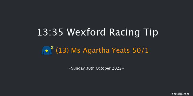 Wexford 13:35 Maiden Hurdle 21f Sat 3rd Sep 2022