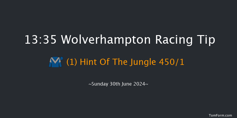 Wolverhampton  13:35 Handicap (Class 5) 5f Thu 20th Jun 2024