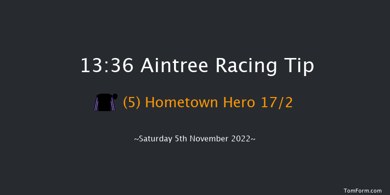 Aintree 13:36 Handicap Chase (Class 3) 20f Sun 23rd Oct 2022