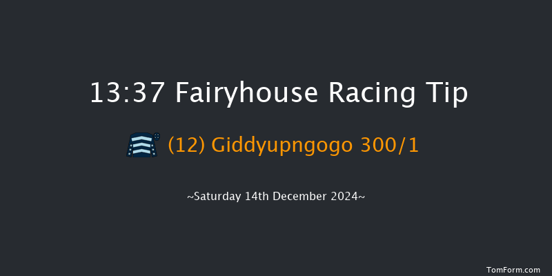 Fairyhouse  13:37 Maiden Hurdle 23f Sun 1st Dec 2024