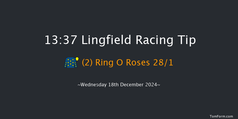 Lingfield  13:37 Handicap Hurdle (Class 3) 20f Wed 4th Dec 2024