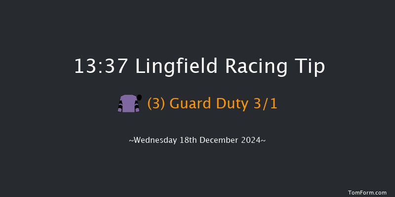 Lingfield  13:37 Handicap Hurdle (Class 3) 20f Wed 4th Dec 2024