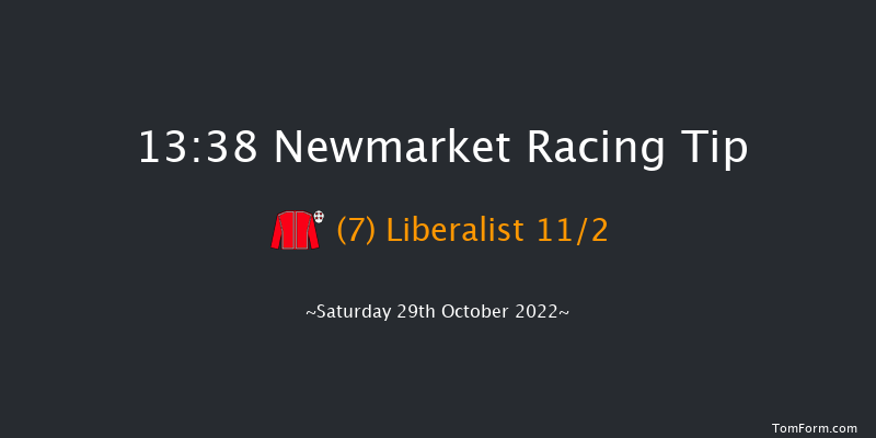 Newmarket 13:38 Stakes (Class 4) 7f Fri 28th Oct 2022