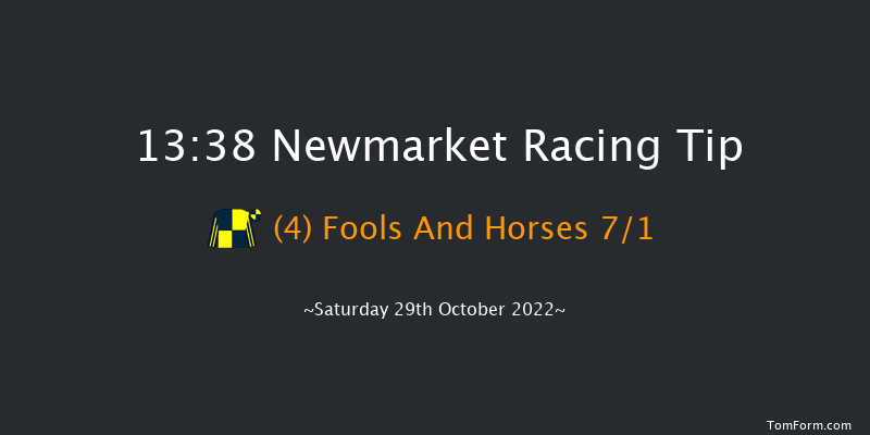 Newmarket 13:38 Stakes (Class 4) 7f Fri 28th Oct 2022