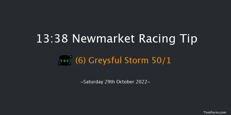 Newmarket 13:38 Stakes (Class 4) 7f Fri 28th Oct 2022