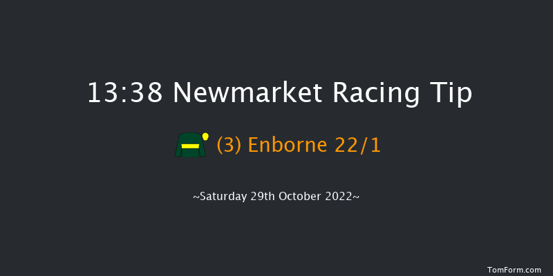 Newmarket 13:38 Stakes (Class 4) 7f Fri 28th Oct 2022