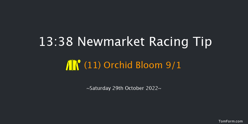 Newmarket 13:38 Stakes (Class 4) 7f Fri 28th Oct 2022