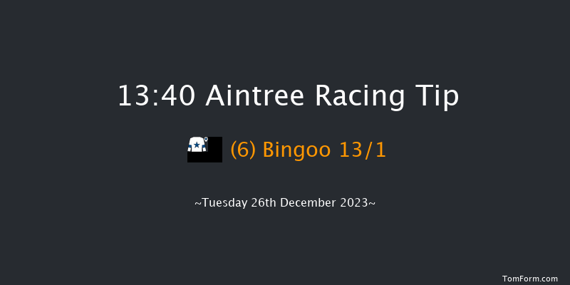 Aintree 13:40 Handicap Hurdle (Class 2) 20f Sat 9th Dec 2023