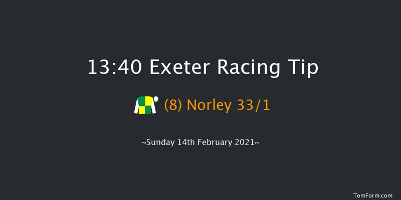 British Stallion Studs EBF 'National Hunt' Novices' Hurdle (Div 1) (GBB Race) Exeter 13:40 Novices Hurdle (Class 4) 18f Tue 19th Jan 2021