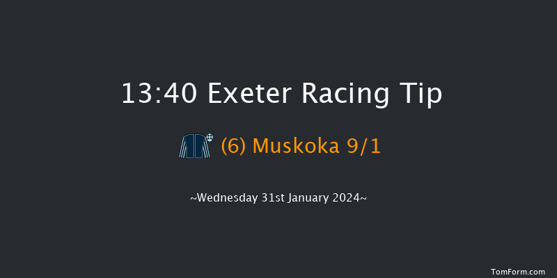 Exeter  13:40 Handicap Hurdle (Class 4) 18f Mon 1st Jan 2024