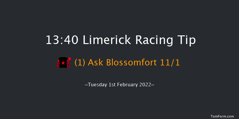 Limerick 13:40 Handicap Hurdle 21f Wed 29th Dec 2021