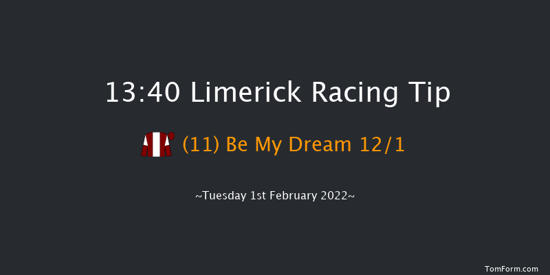 Limerick 13:40 Handicap Hurdle 21f Wed 29th Dec 2021